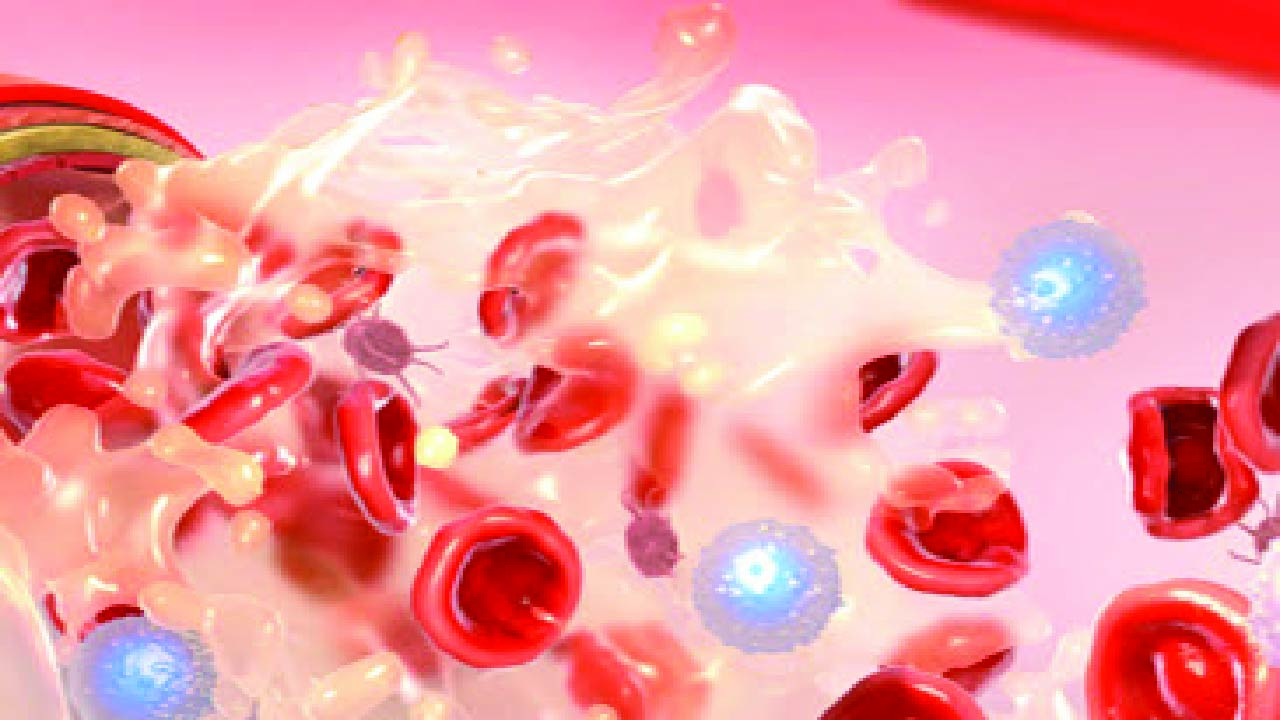 Significance of Serum Albumin as a Clinical Indicator in CKD and ESKD